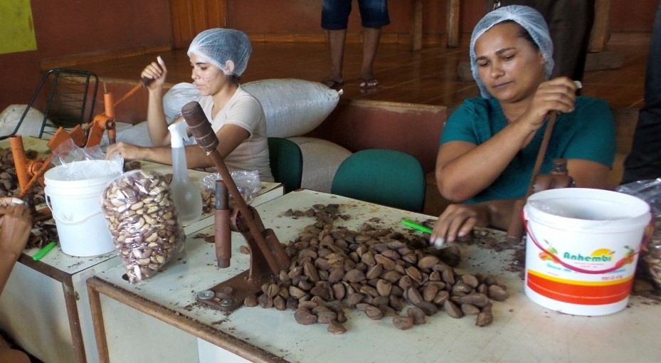 A miniusina de beneficiamento de castanha na Cacauway. Foto Elizabeth Oliveira
