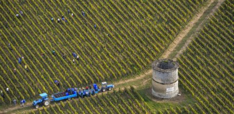 Produção de vinho em Bordeaux. Foto de J-B Nadeau/ Only France/ AFP