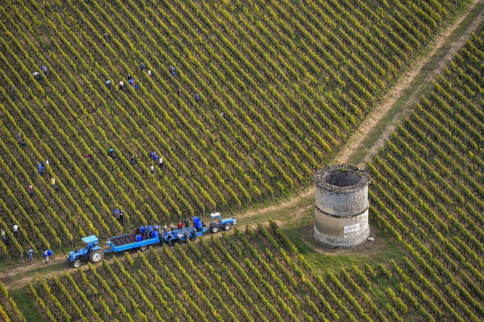 Produção de vinho em Bordeaux. Foto de J-B Nadeau/ Only France/ AFP 