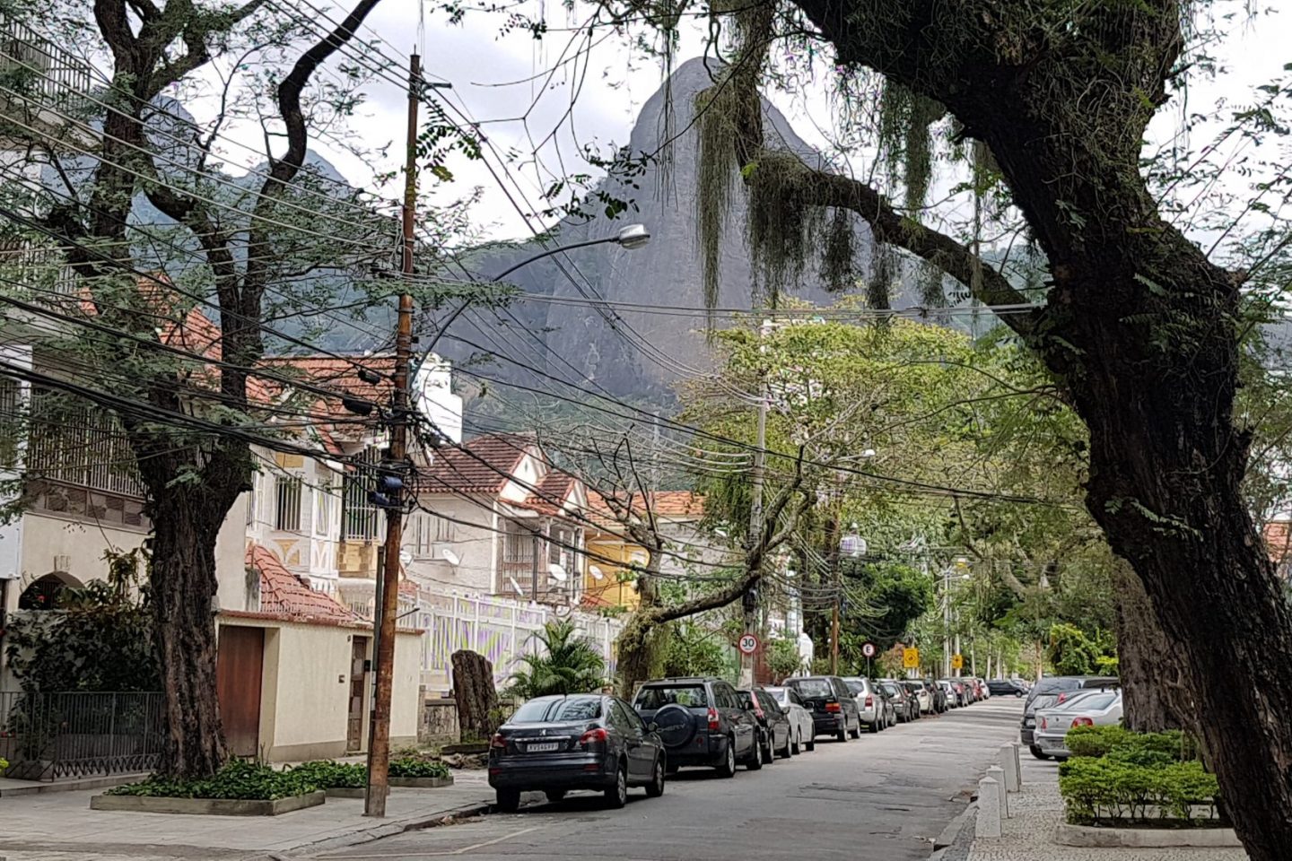 Rua do Grajaú com suas árvores e casas e o Parque Estadual ao fundo: cenário de bairro que conseguiu resistir à avalanche imobiliária (Foto: Oscar Valporto)