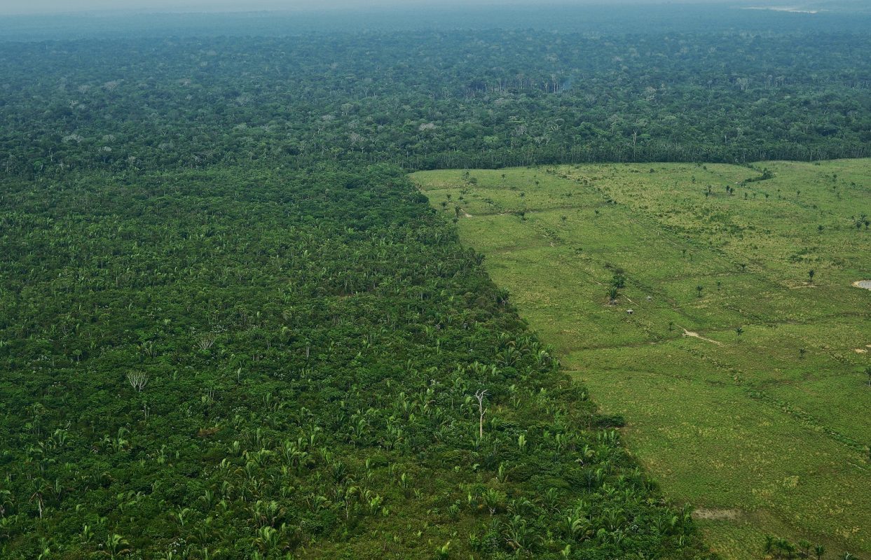 Vista aérea de uma região desmatada na Amazônia. Em julho, a destruição da floresta cresceu 278% . Foto Carl de Souza/AFP