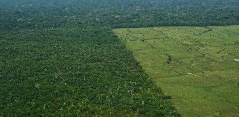 Vista aérea de uma região desmatada na Amazônia. Em julho, a destruição da floresta cresceu 278% . Foto Carl de Souza/AFP