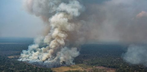 Incêndio na floresta perto do município de Candeias do Jamari, em Rondônia. Feita em 24 de agosto. Foto Victor Moriyama/Greenpeace/AFP