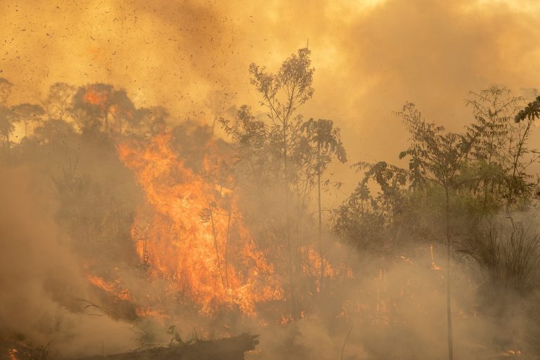 Os incêndios são, em sua maioria, criminosos e têm como objetivo preparar a área para a criação de gado. Foto Marcio Pimenta