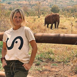 Elefanta em busca de refúgio no Brasil: conheça a comovente história de Ramba