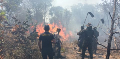Voluntários da brigada de incêndio se revesam no combate às chamas. Foto Lauria de Sousa