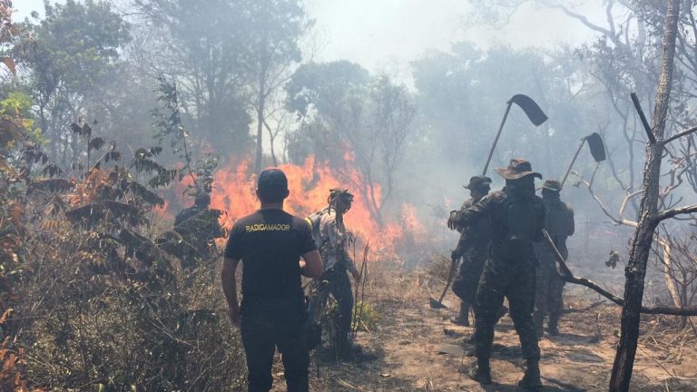 Voluntários da brigada de incêndio se revesam no combate às chamas. Foto Lauria de Sousa