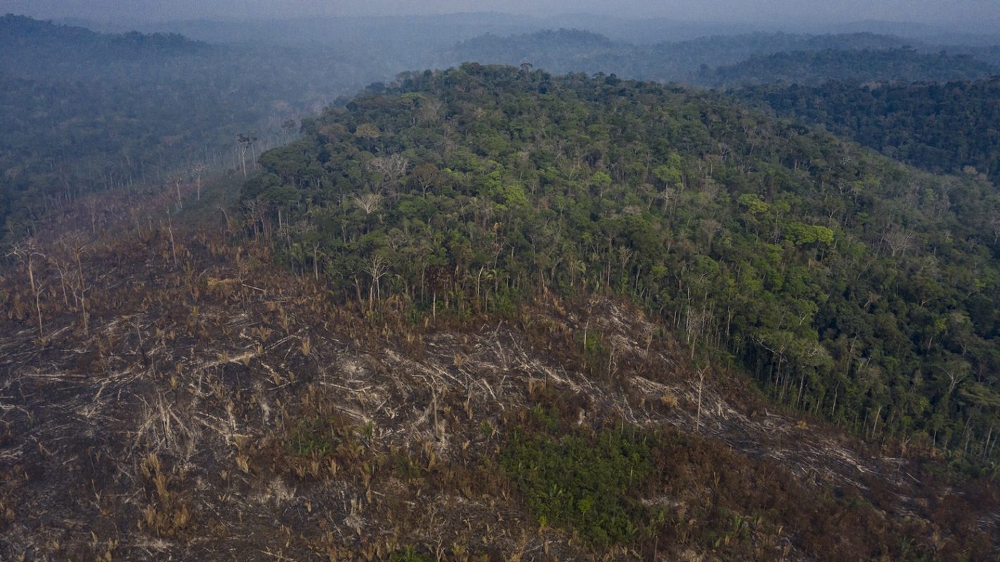 Imagem de desmatamento e queimada na terra indígena Uru-Eu Wau-Wau, na região conhecida como Grotão, em Campo Novo de Rondônia.Foto Marizilda Cruppe