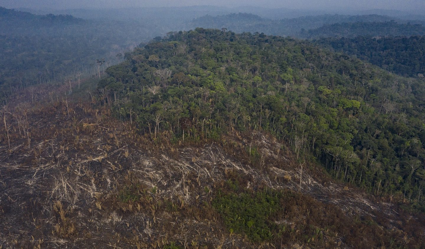 Imagem de desmatamento e queimada na terra indígena Uru-Eu Wau-Wau, na região conhecida como Grotão, em Campo Novo de Rondônia.Foto Marizilda Cruppe