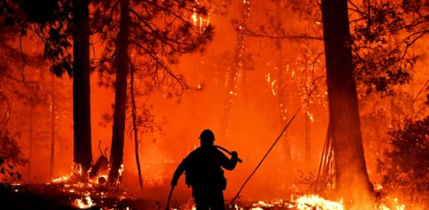 Bombeiros tentam controlar o fogo que em 2018, atingiu a Shasta Trinity National Forest, na Califórnia. Foto Josh Edelson/AFP