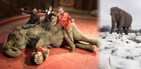 Ramba