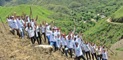 O trabalho de replantio começou com a participação de voluntários, mas aos poucos acabou se profissionalizando e hoje tem 40 colaboradores. Foto Divulgação