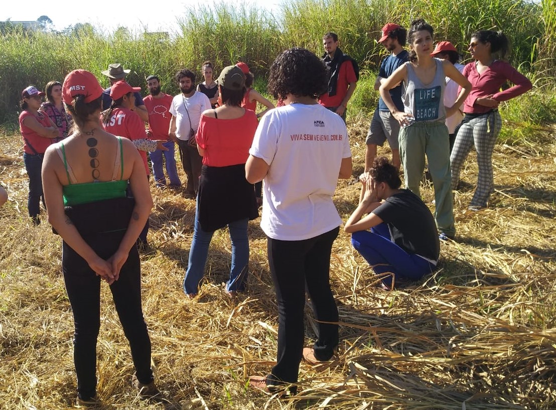 Mutirão une alunos de projeto de extensão da UFABC e agricultores: alimentos orgânicos a preços mais baixos (Foto: Divulgação/UFABC)