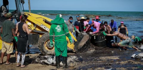 Voluntários retiram óleo do mar na praia de Itapuama, em Cabo de Santo Agostinho, Pernambuco: ação rápida evitou desastre maior (Foto: Leo Malafaia/AFP)