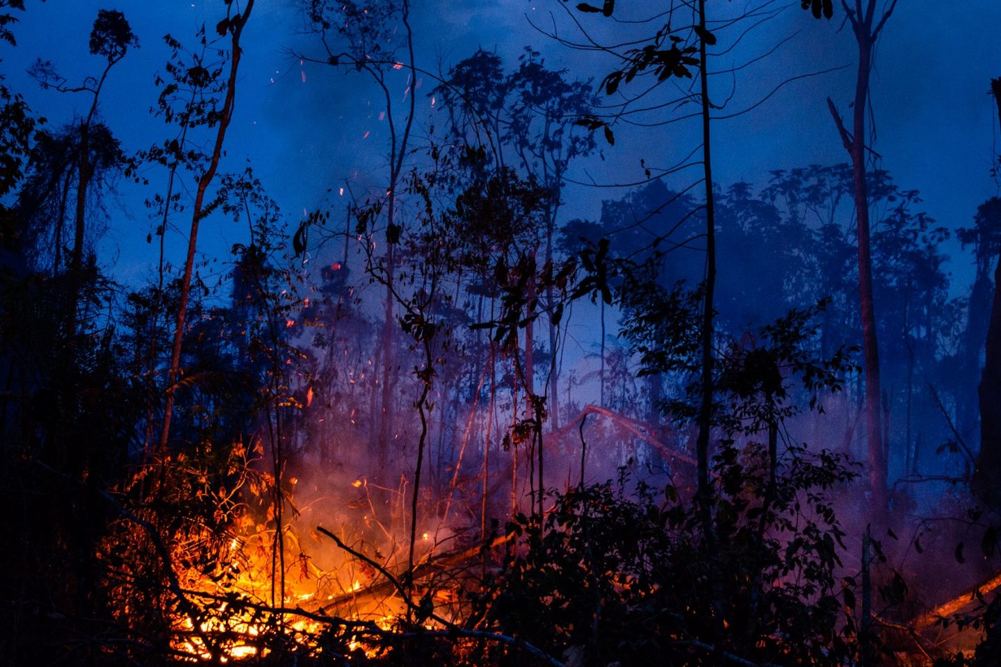 Fogo na Floresta Amazônica, próximo à cidade de Novo Progresso, no Pará. Foto Gustavo Basso/NurPhoto