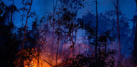 Fogo na Floresta Amazônica, próximo à cidade de Novo Progresso, no Pará. Foto Gustavo Basso/NurPhoto