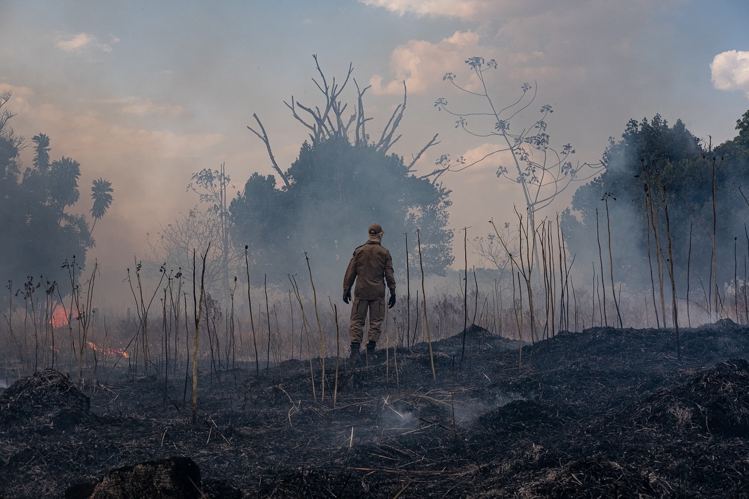 Bombeiro faz o rescaldo do fogo na floresta próxima ao município de Sorriso, no Mato Grosso. O estado foi um dos mais prejudicados pelo aumento no número de internações. Foto Mayke Toscano/Secretaria de Comunicação do Mato Grosso