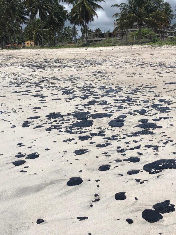 O óleo nas areias de Barra Grande, em Alagoas. Foto Nadson Souza