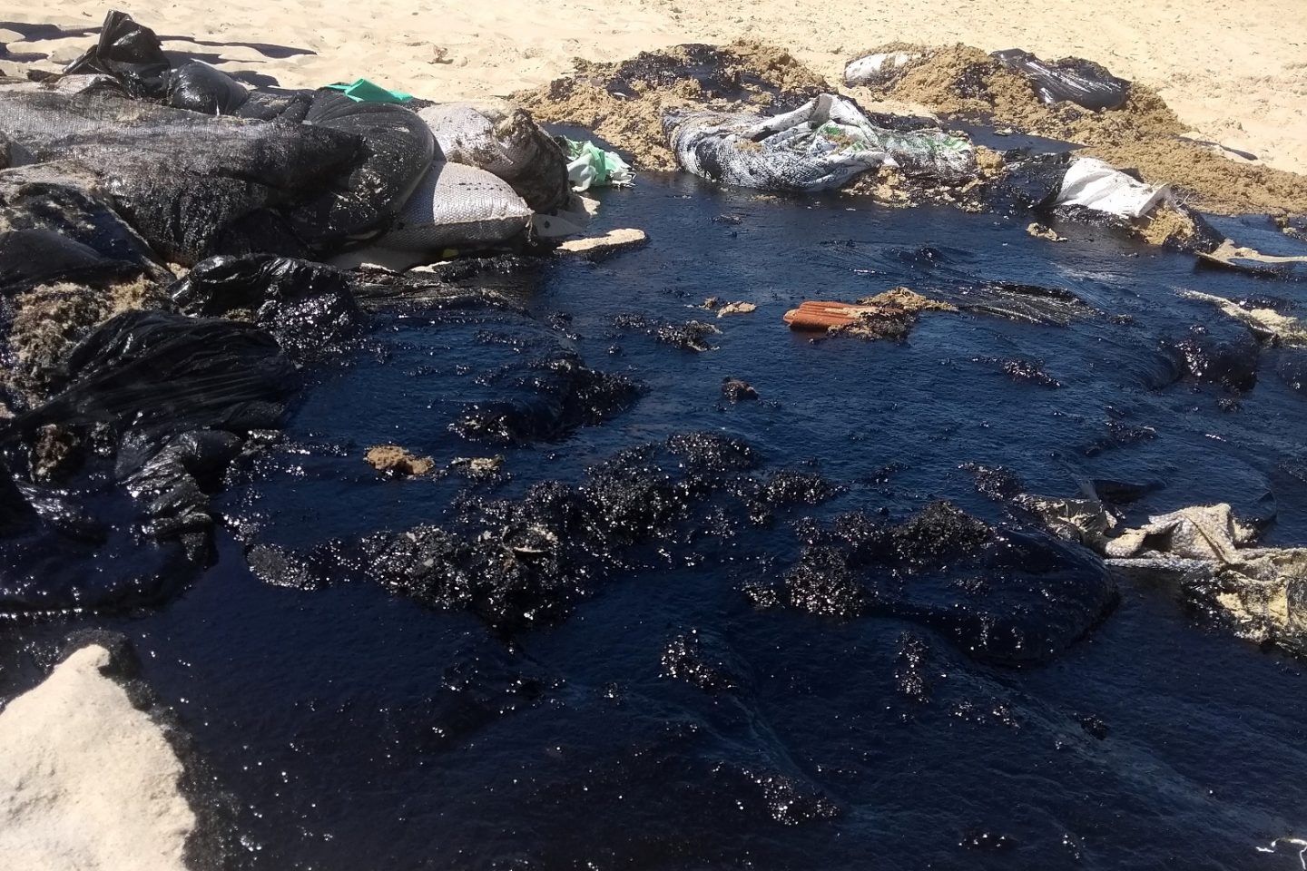 A paia de Itapuama, no litoral Sul de Pernambuco, foi uma das mais atingidas. Mais de 1.300 toneladas de óleo já foram retiradas nos últimos oito dias. Foto Michelly Lira
