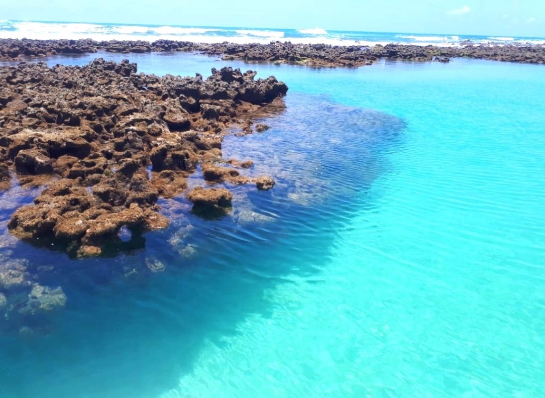 Área de corais em Tamandaré, um paraíso ameaçado. Foto Fernanda Amaral