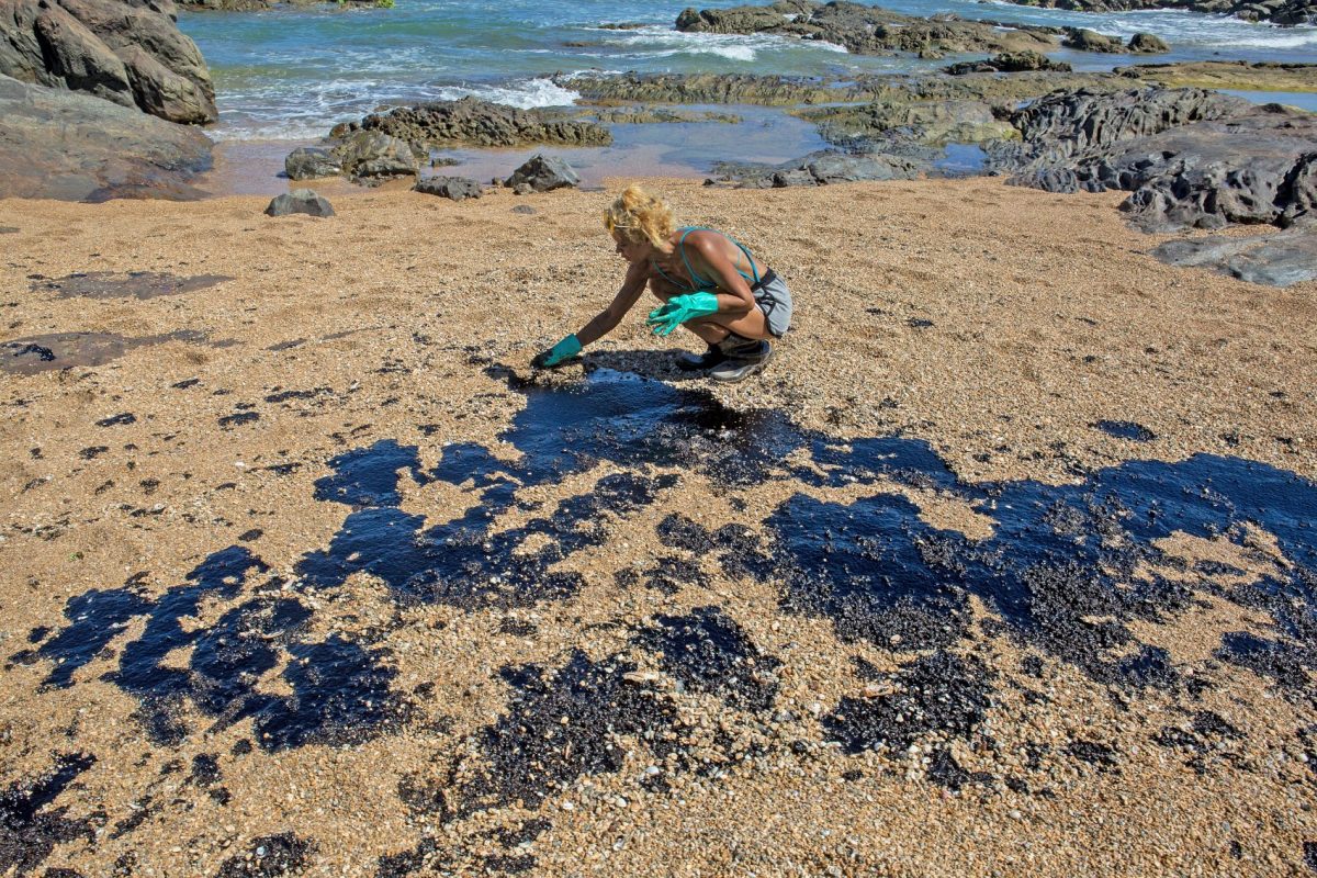 Voluntária retira óleo da praia de Busca Vida, perto de Salvador: Bahia foi o estado com mais localidades atingidas pelo desastre ambiental (Foto: ANTONELLO VENERI / AFP)