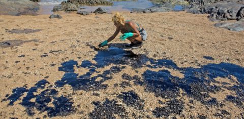 Voluntária retira óleo da praia de Busca Vida, perto de Salvador: Bahia foi o estado com mais localidades atingidas pelo desastre ambiental (Foto: ANTONELLO VENERI / AFP)