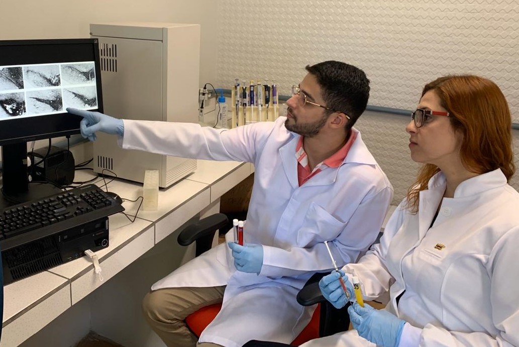 Daniel Macedo com a pesquisadora Láís Rodrigues no laboratório da UFPR: pesquisas semelhantes sobre sintomas da doença de Prakinson (Foto: Acervo Pessoal)