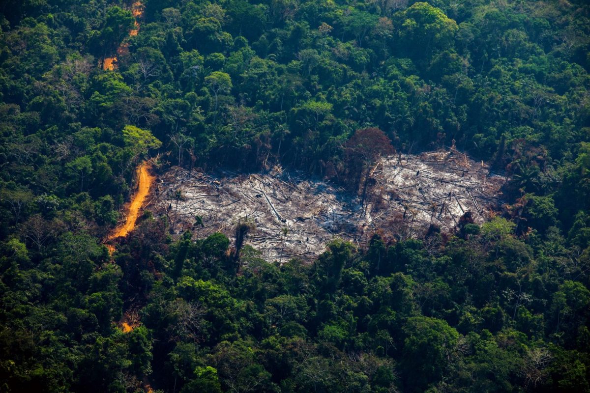 Área desmatada em Altamira, no Pará, estado líder em emissões de gases do efeito estufa: relatório mostra desmatamento como vilão das emissões (Foto: João Laet/AFP)