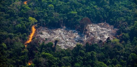 Área desmatada em Altamira, no Pará, estado líder em emissões de gases do efeito estufa: relatório mostra desmatamento como vilão das emissões (Foto: João Laet/AFP)