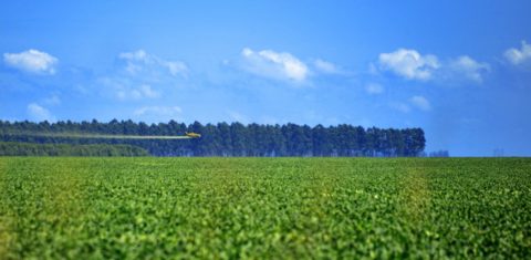 Aviao sobrevoando fazenda de soja para jogar agrotoxico. Foto de Mirian Fichtner