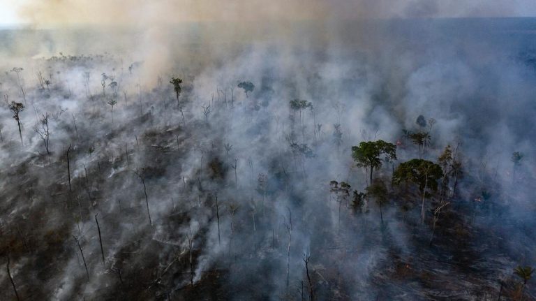 Imagem aérea de uma queimada no Mato Grasso, dentro de um território indígena. Foto Marizilda Cruppe/Anistia Internacional