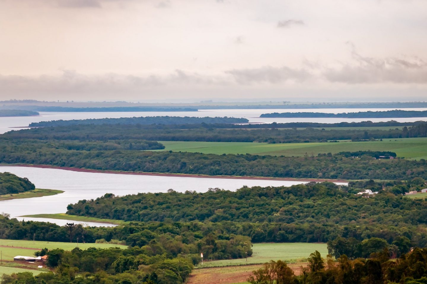 Corredor verde de Itaipu. Foto de Fraulini/Itaipu Binacional