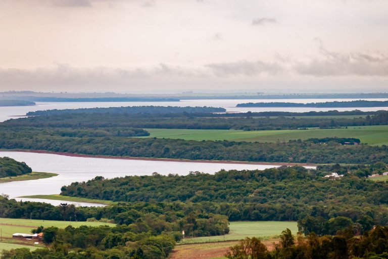 Corredor verde de Itaipu. Foto de Fraulini/Itaipu Binacional