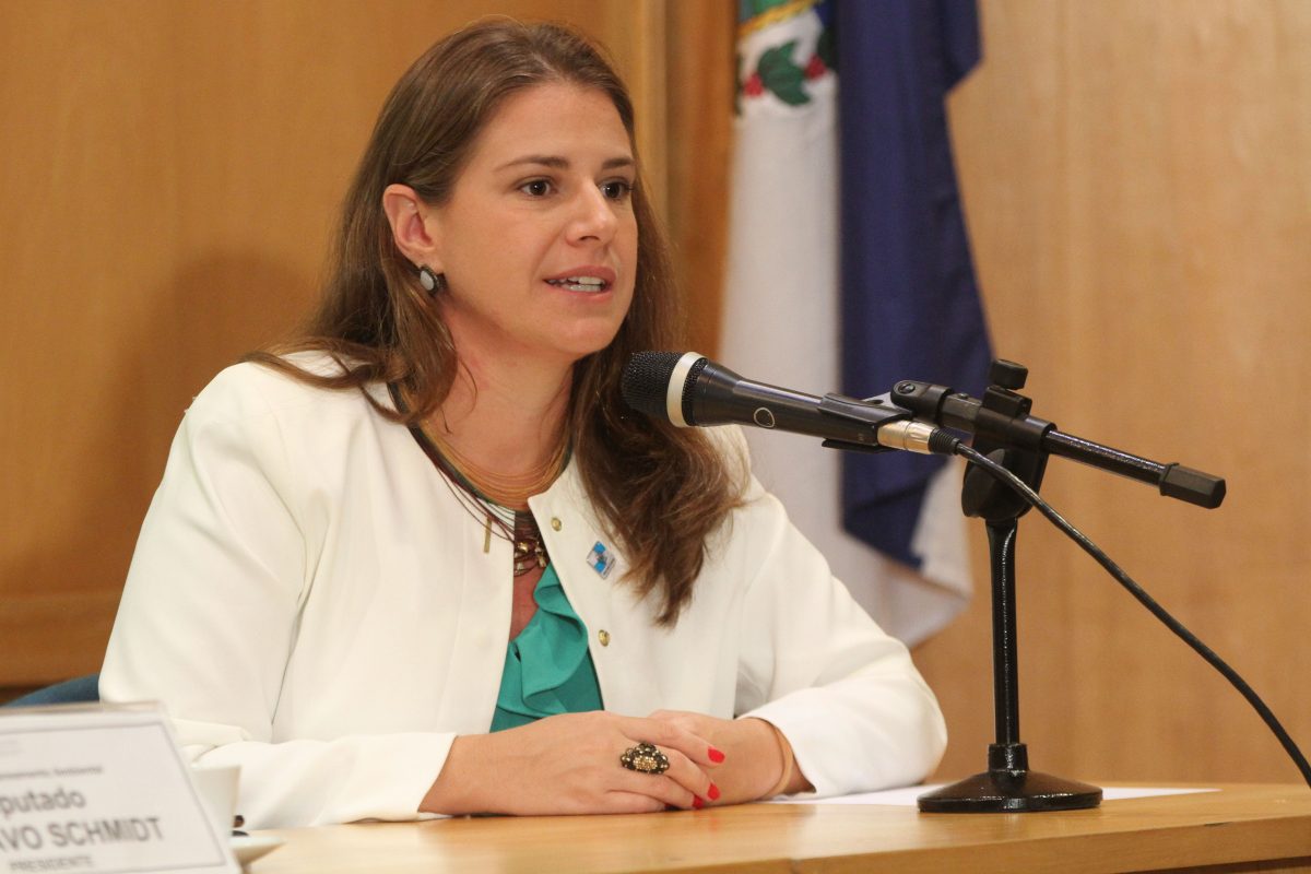 Ana Lúcia Santoro em audiência pública na Assembleia Legislativa: secretário de Ambiente pede demissão por ingerências políticas (Foto: Suellen Lessa/Alerj)