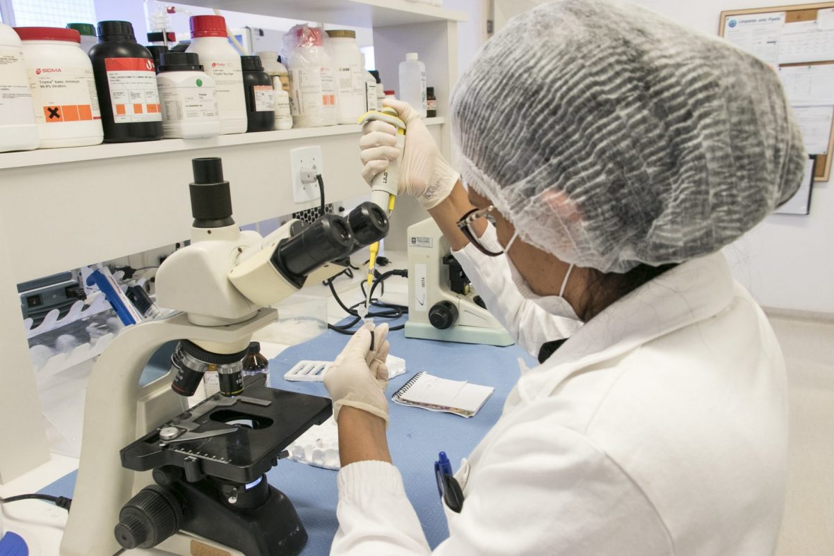 Pesquisa sobre moléculas isoladas de produtos da biodiversidade brasileira no Laboratório de Oncologia Experimental da UFC: fase de aplicação será feita na Austrália (Foto: Viktor Braga/UFC)