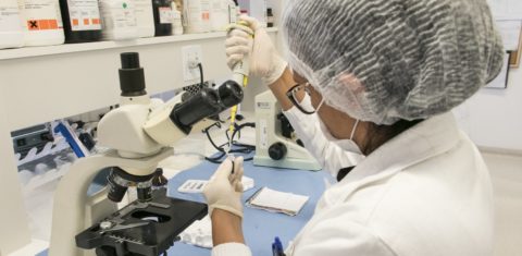 Pesquisa sobre moléculas isoladas de produtos da biodiversidade brasileira no Laboratório de Oncologia Experimental da UFC: fase de aplicação será feita na Austrália (Foto: Viktor Braga/UFC)