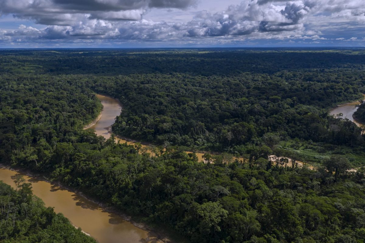 Imagem aérea da Reserva Extrativista Chico Mendes, Xapuri, no Acre (Foto ©Marizilda Cruppe/Greenpeace)
