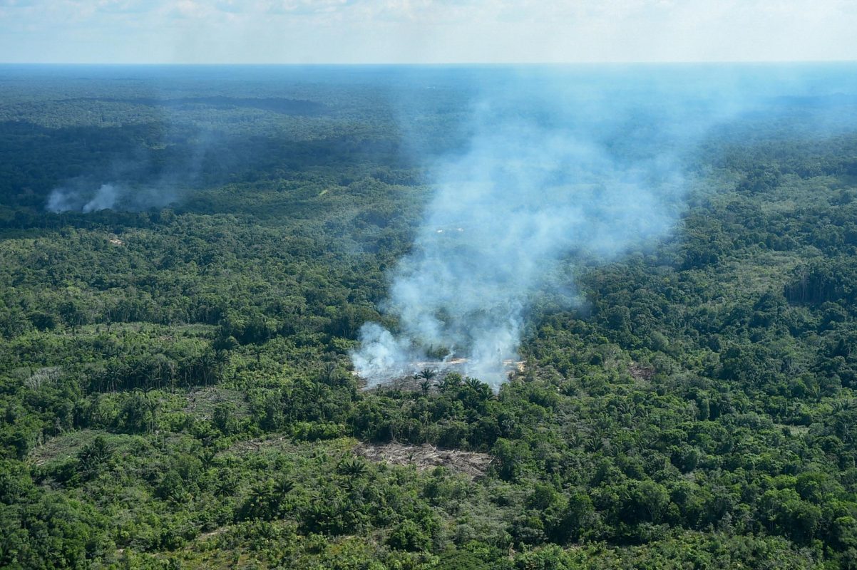 Foco de incêndio na floresta em São Gabriel da Cachoeira. Foto Chico Batata/DPA