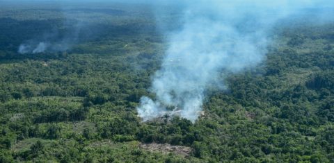 Foco de incêndio na floresta em São Gabriel da Cachoeira. Foto Chico Batata/DPA