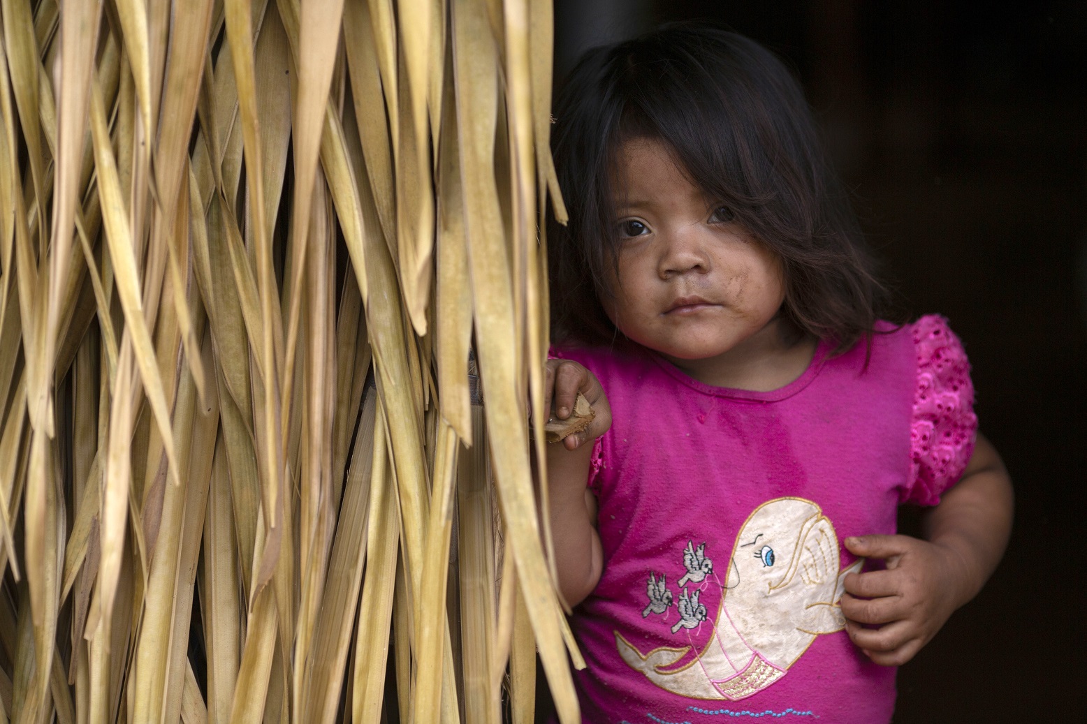 Menina da tribo indígena Arara, em Medicilândia, no Pará. Foto Mauro Pimentel/AFP