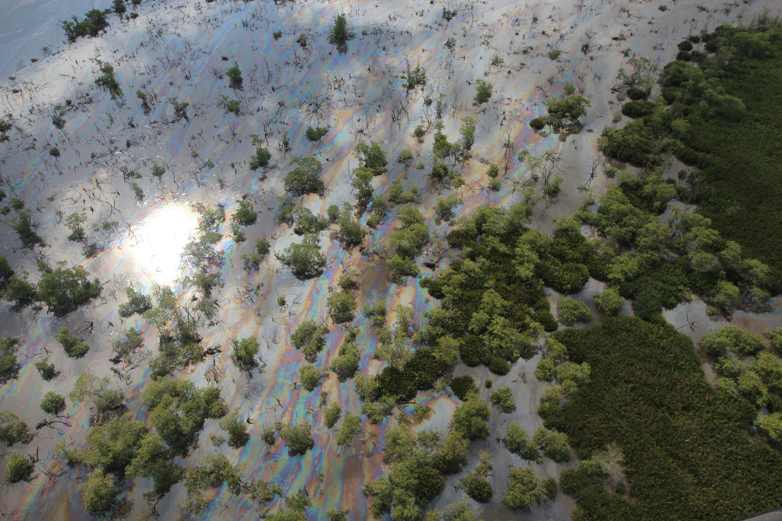 O vazamento impactou diretamente duas unidades de conservação do município de Magé – a APA Rio Estrela e o Parque Natural Barão de Mauá. Foto Mario Moscatelli