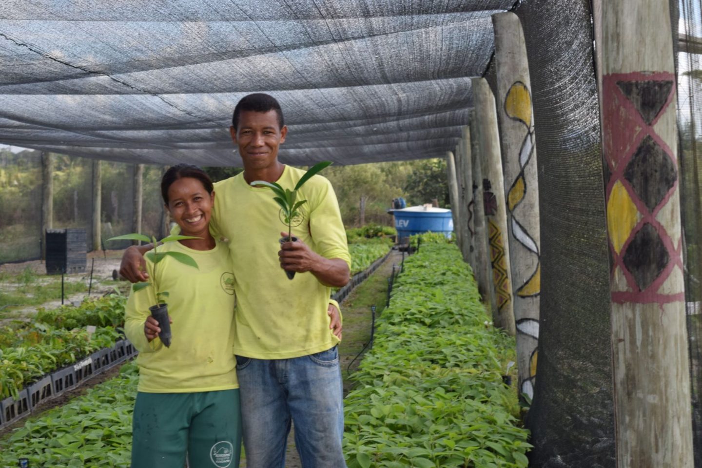 Viveiro de mudas do Programa Arboretum: quase 900 mil mudas comercializadas desde 2015 (Foto: Divulgação)