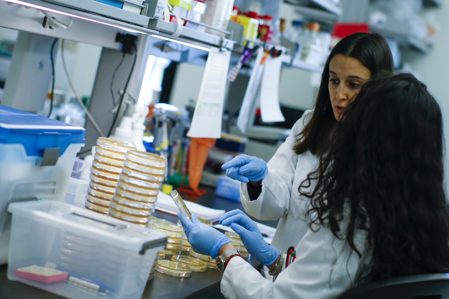 Pesquisadores trabalham no desenvolvimento de exame para identificação rápida do COVID-19 no Hackensack Meridian Health Center for Discovery and Innovation, em Nova Jeresey/EUA (Foto: Kena Betancur/Getty Images/AFP)