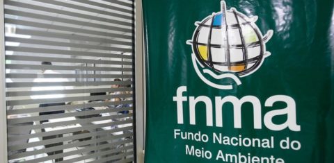 Fundo Nacional de Meio Ambiente: conselho deliberativo sem representantes da sociedade civil (Foto: Ministério do Meio Ambiente/Divulgação)