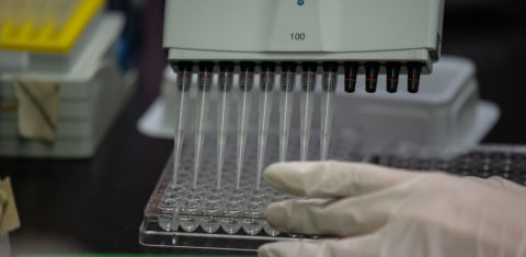 Laboratório trabalha no desenvolvimento de vacina na Ásia: pesquisadores brasileiros buscam formas alternativas para o desenvolvimento da vacina anti-Covid-19 que priorizaram eficiência e segurança (Foto: Ed Jones/AFP)