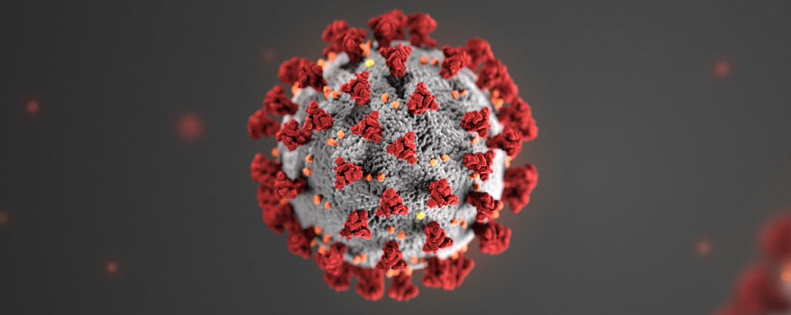Coronavírus: pesquisa brasileira usa partículas semelhantes a vírus e antígenos, substâncias estranhas ao organismo que desencadeiam a produção de anticorpos (Foto: Reprodução)