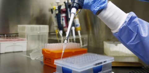 Testes para coronavírus e luvas para profissionais: 85% dos contratos para aquisição de medicamentos e material hospitalar pelo Governo do Rio de Janeiro para enfrentar pandemia ficaram com quatro empresas (Foto: Maurício Bazílio/SES-RJ)