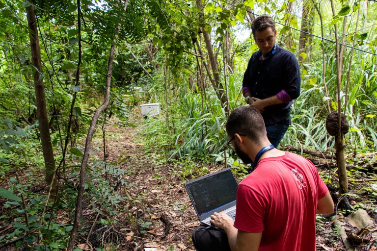 Pesquisadores da UFC testam sistema: coleta de informações das colmeias sobre temperatura, peso e umidade (Foto: Viktor Braga/UFC)