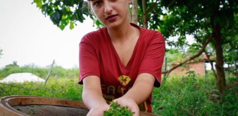 Geovana Pivotto com as sementes: técnica de restauração de área degradada gera emprego e renda (Foto: Agroícone/divulgação)
