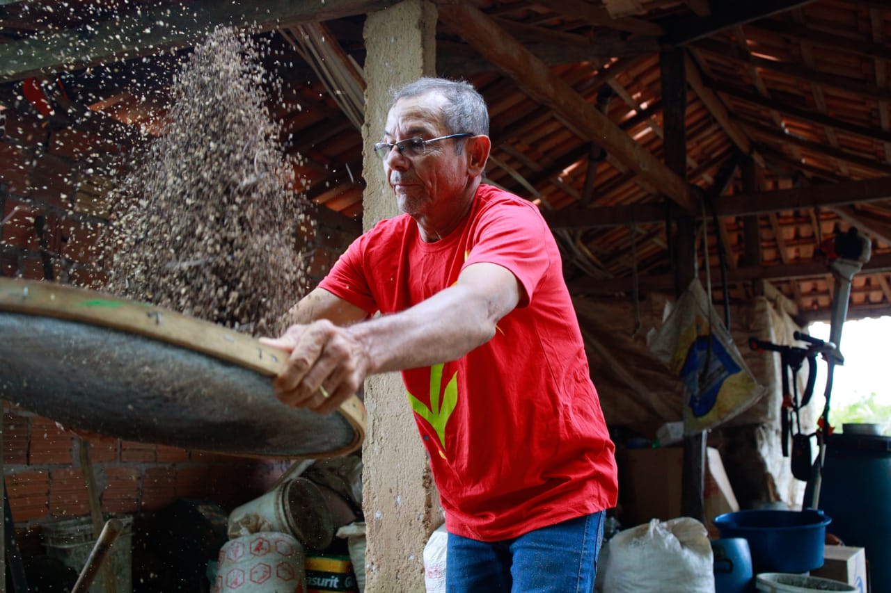 Produtor rural peneira sementes: no ano passado, 700 hectares foram restaurados com a muvuca de sementes em Diamantino (Foto: Agroícone/divulgação)